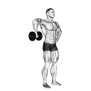 dumbbell upright shoulder external rotation animación