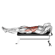 lying leg-hip raise animación