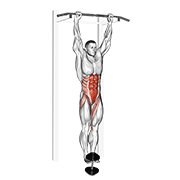 weighted hanging leg-hip raise animación
