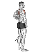 band front lateral raise animación