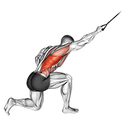 band kneeling one arm pulldown animación