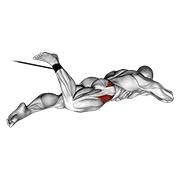 band lying hip internal rotation animación