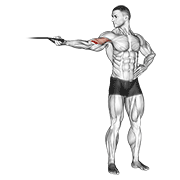 band one arm overhead biceps curl animación