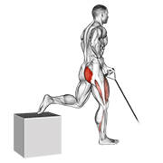 band one arm single leg split squat animación