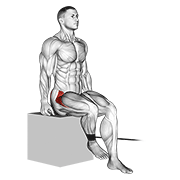 band seated hip internal rotation animación