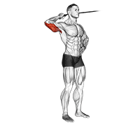 band side triceps extension animación