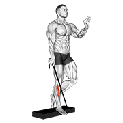 band single leg reverse calf raise animación