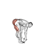 band straight leg deadlift animación