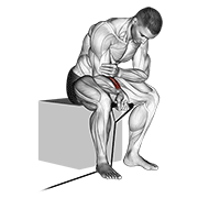 band wrist curl animación