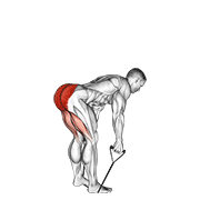 band straight back stiff leg deadlift animación