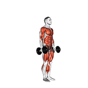 dumbbell burpee animación