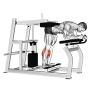 lever donkey calf raise animación