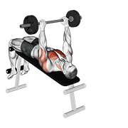 barbell decline pullover animación