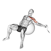 cable one arm incline fly on exercise ball animación