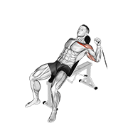 cable one arm incline press animación