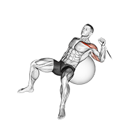 cable one arm incline press on exercise ball animación