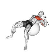 cable one arm press on exercise ball animación