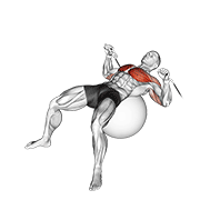 cable press on exercise ball animación