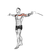 cable upper chest crossovers animación