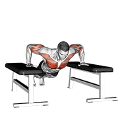 drop push up animación