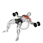 dumbbell fly on exercise ball animación