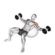 dumbbell incline fly on exercise ball animación