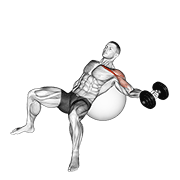 dumbbell incline one arm fly on exercise ball animación