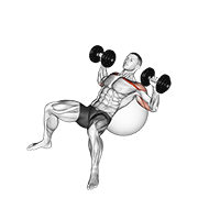 dumbbell incline press on exercise ball animación