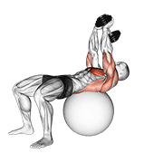 dumbbell lying pullover on exercise ball animación