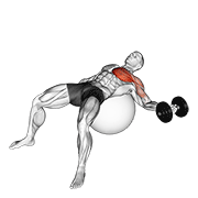dumbbell one arm chest fly on exercise ball animación