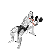 dumbbell one arm incline chest press animación