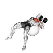 dumbbell one arm press on exercise ball animación