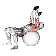 dumbbell pullover hip extension on exercise ball animación