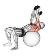 dumbbell pullover on exercise ball animación