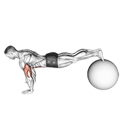 exercise ball pike push up animación