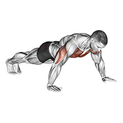 wide hand push up animación