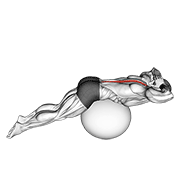 back extension on exercise ball animación