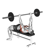 barbell bent arm pullover animación