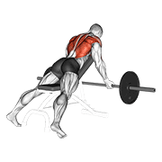 barbell reverse grip incline bench row animación