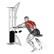 cable incline bench row animación