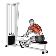 cable rope crossover seated row animación