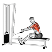 cable rope elevated seated row animación