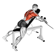 cable rope extension incline bench row animación