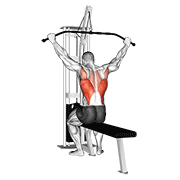 cable wide grip rear pulldown behind neck animación