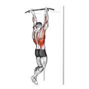 chin-up animación