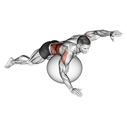 exercise ball alternating arm ups animación