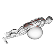 exercise ball back extension with rotation animación