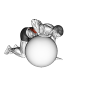 exercise ball lat stretch animación