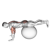 exercise ball prone leg raise animación
