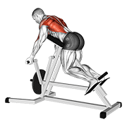 lever reverse t-bar row animación